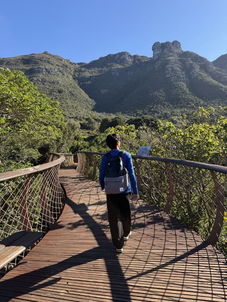 Walking the canopy boardwalk through the botanical gardens